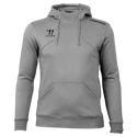 Pánska mikina Warrior Alpha X Aspire Hoody Gray 3XL