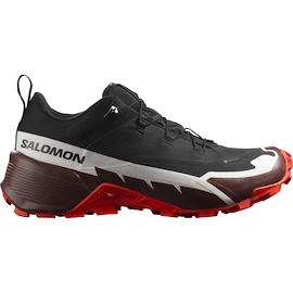 Pánska obuv Salomon Cross Hike GTX 2