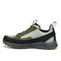 Pánska outdoorová obuv Hanwag Rotpunkt Light Low GTX Deep Olive/Light Olive