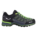 Pánska outdoorová obuv Salewa  MS MTN Trainer Lite Gtx Myrtle/Ombre Blue