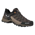 Pánska outdoorová obuv Salewa  MS MTN Trainer Lite Gtx  Wallnut/Fluo Orange