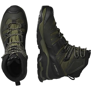 Pánska outdoorová obuv Salomon Quest 4 Gore-Tex Olive Night/Peat/Safari