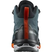 Pánska outdoorová obuv Salomon X Ultra 4 MID GTX Stargazer/Black/S