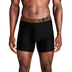 Pánske boxerky Under Armour Perf Tech 6in