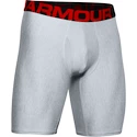 Pánske boxerky Under Armour  Tech 9in 2 Pack grey Dynamic