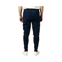 Pánske nohavice Bauer  Gamechanger Jogger Navy