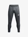 Pánske nohavice Under Armour  Challenger Training Pant-GRY