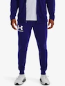 Pánske nohavice Under Armour  RIVAL TERRY JOGGER-BLU L