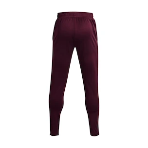 Pánske nohavice Under Armour  Terry Pant Red XL