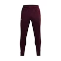 Pánske nohavice Under Armour  Terry Pant Red XL