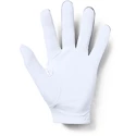 Pánske rukavice Under Armour  Medal Golf Glove grey