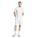 Pánske šortky adidas  Club Graphic Short White/Grey