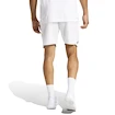 Pánske šortky adidas  Club Short White