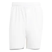 Pánske šortky adidas  Club Short White