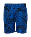 Pánske šortky FZ Forza  Luton M Shorts Olympian Blue