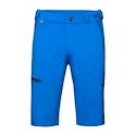 Pánske šortky Mammut  Runbold Shorts Ice 50