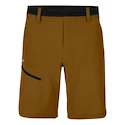 Pánske šortky Salewa  Puez 3 DST M Shorts Golden Brown L