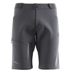 Pánske šortky Salomon  Wayfarer Shorts Ebony