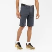 Pánske šortky Salomon  Wayfarer Shorts Ebony