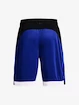 Pánske šortky Under Armour  BASELINE 10'' SHORT-BLU