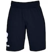 Pánske šortky Under Armour  COTTON BIG LOGO SHORTS blue