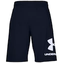 Pánske šortky Under Armour  COTTON BIG LOGO SHORTS blue