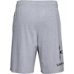 Pánske šortky Under Armour  COTTON BIG LOGO SHORTS gray