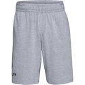 Pánske šortky Under Armour  COTTON BIG LOGO SHORTS gray