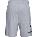 Pánske šortky Under Armour  COTTON BIG LOGO SHORTS gray