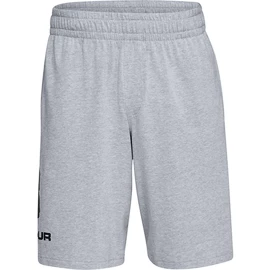 Pánske šortky Under Armour COTTON BIG LOGO SHORTS gray