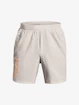 Pánske šortky Under Armour  Launch SW 7'' WM Short-GRY