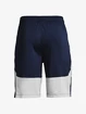 Pánske šortky Under Armour  Raid 2.0 Shorts-NVY