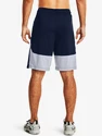 Pánske šortky Under Armour  Raid 2.0 Shorts-NVY