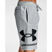 Pánske šortky Under Armour  Rival FLC Big Logo Shorts gray