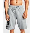 Pánske šortky Under Armour  Rival FLC Big Logo Shorts gray