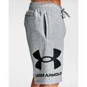 Pánske šortky Under Armour  Rival FLC Big Logo Shorts gray