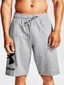 Pánske šortky Under Armour  Rival FLC Big Logo Shorts gray