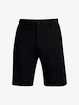 Pánske šortky Under Armour  Storm Drive Taper Storm Short-BLK