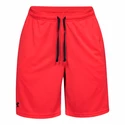 Pánske šortky Under Armour  Tech Mesh Short