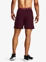 Pánske šortky Under Armour  Vanish Woven 6in Shorts-MRN