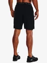 Pánske šortky Under Armour  Vanish Woven 8in Shorts-BLK