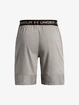 Pánske šortky Under Armour  Vanish Woven 8in Shorts-GRY