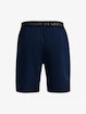 Pánske šortky Under Armour  Vanish Woven 8in Shorts-NVY