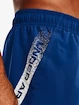 Pánske šortky Under Armour  Woven Graphic Shorts-BLU