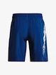 Pánske šortky Under Armour  Woven Graphic Shorts-BLU