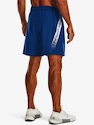 Pánske šortky Under Armour  Woven Graphic Shorts-BLU