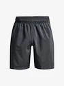 Pánske šortky Under Armour  Woven Graphic Shorts-GRY