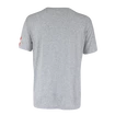 Pánske tričko CCM  FLAG TEE TEAM AUSTRIA Athletic Grey