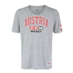 Pánske tričko CCM  FLAG TEE TEAM AUSTRIA Athletic Grey