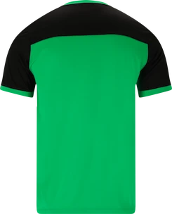 Pánske tričko FZ Forza  Alberti M S/S Tee Perfect Green